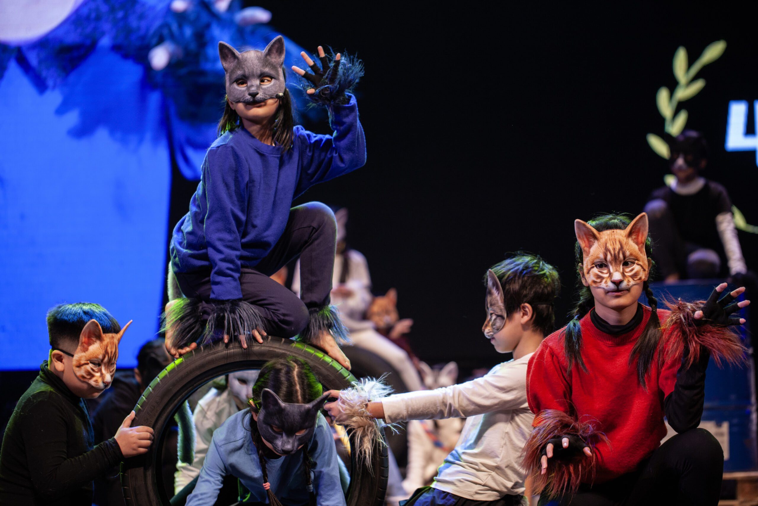 Nhạc Kịch: Mèo tại Hà Nội